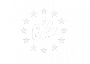 ignition-BIC BIC Logo